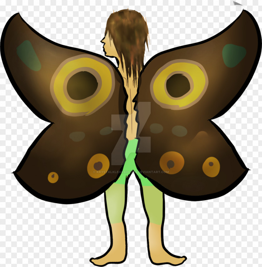 Fold Clothes Butterfly Insect Moth Animal Wing PNG