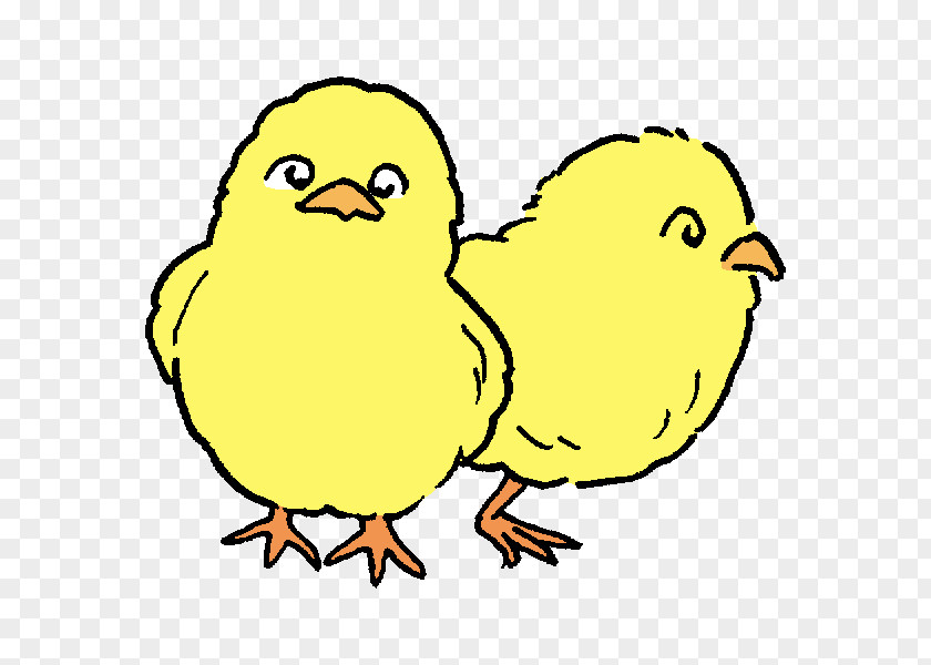 Animal Train Beak Fauna Wildlife Chicken As Food Clip Art PNG