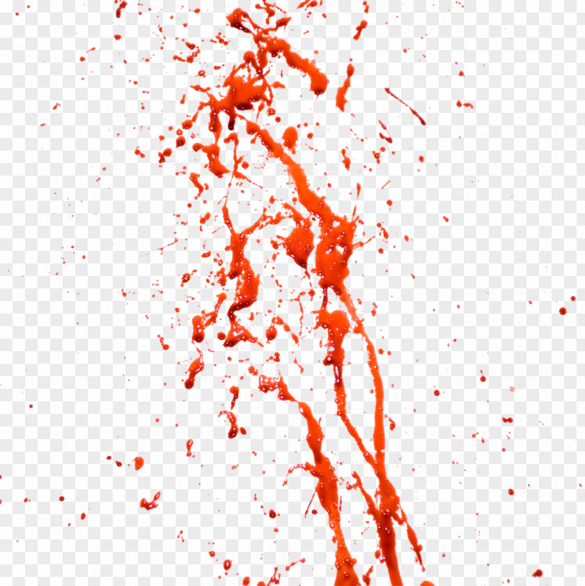 Blood Image Clip Art PNG