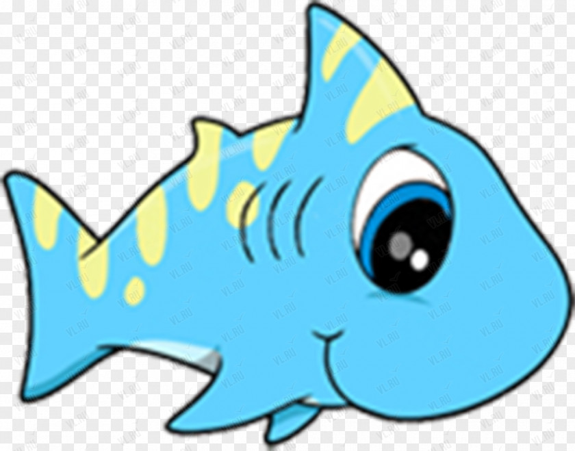 Shark Baby Clip Art PNG