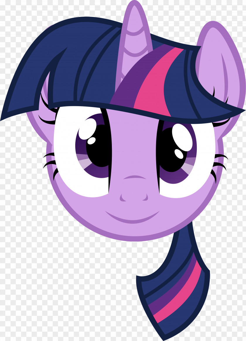 Sparkle Rainbow Dash Rarity Twilight Pony Pinkie Pie PNG