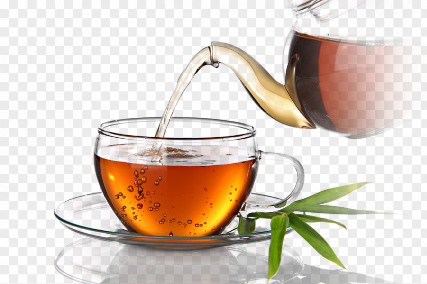 Tea Teacup Coffee Juice Herb PNG