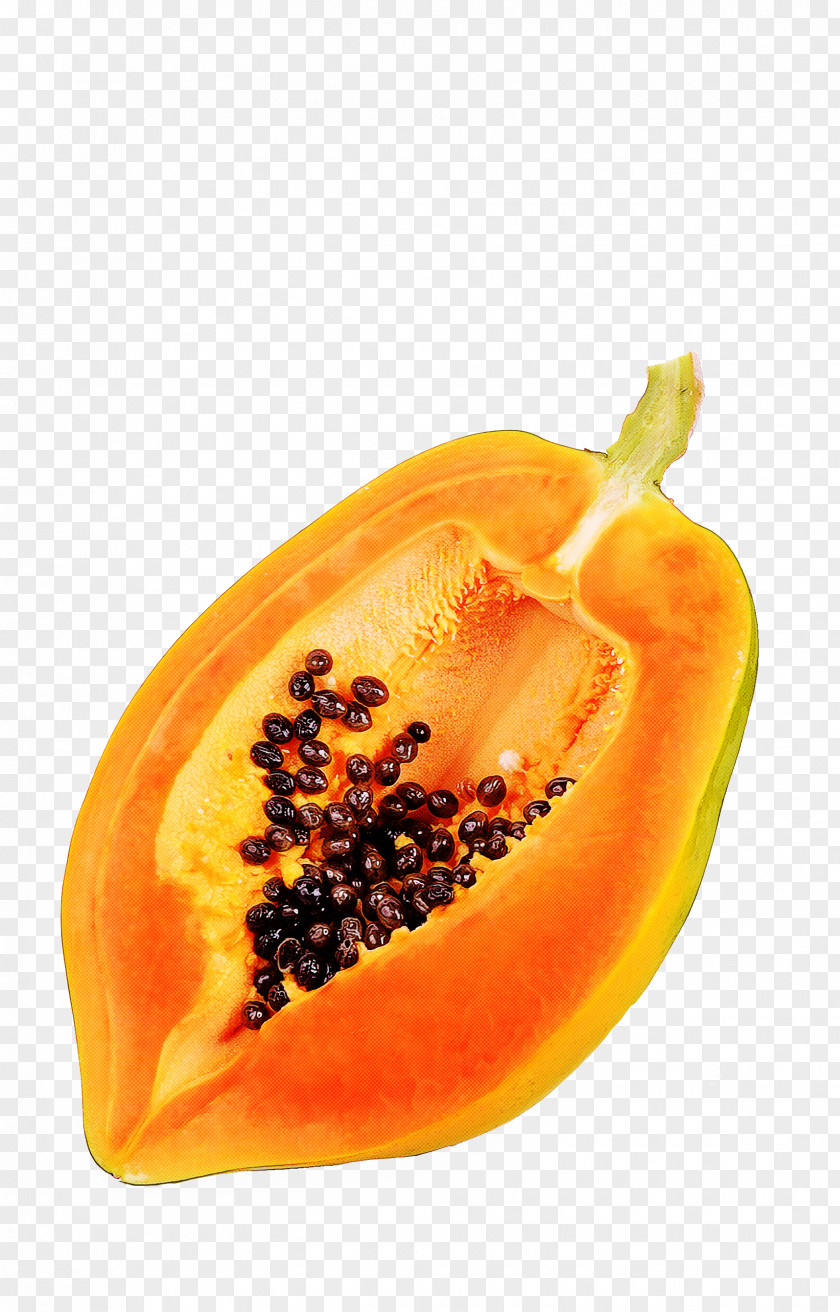 Accessory Fruit Ingredient Orange PNG