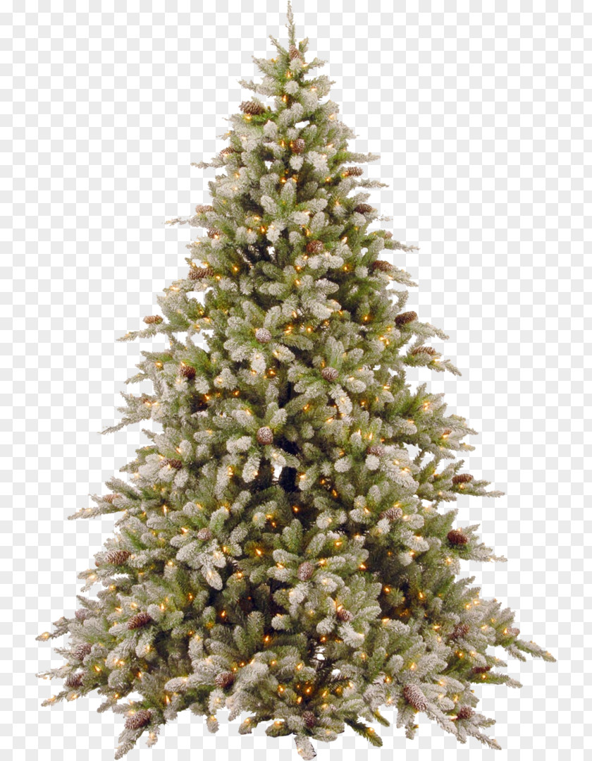 Cones Christmas Tree Clip Art PNG