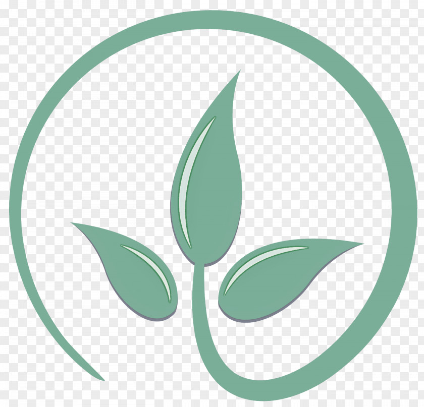 Flower Logo Green Leaf Plant Eucalyptus PNG