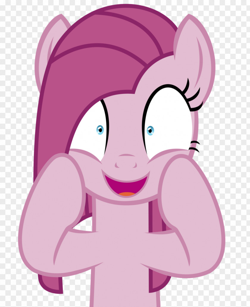 Pie Pinkie Rainbow Dash Fluttershy Pony PNG
