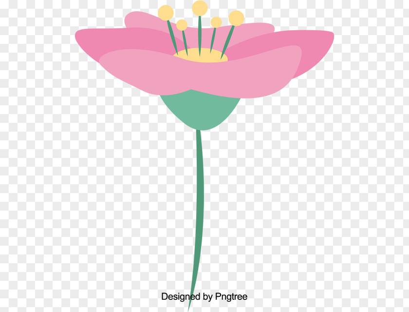 Sacred Lotus Plant Stem Lily Flower Cartoon PNG