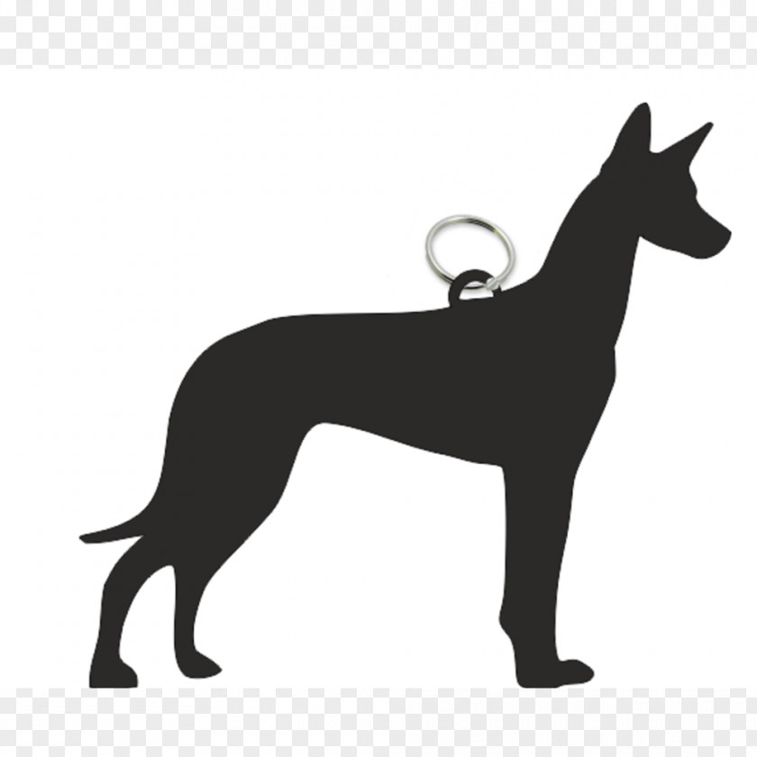 T-shirt Italian Greyhound Dog Breed Pharaoh Hound PNG