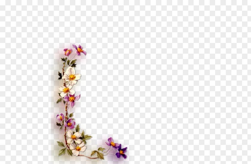 Borders And Frames Artificial Flower Picture Image PNG