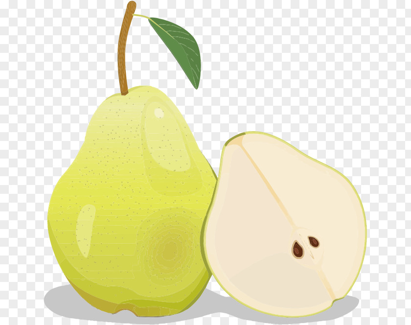 Chinese Pear Auglis Clip Art PNG