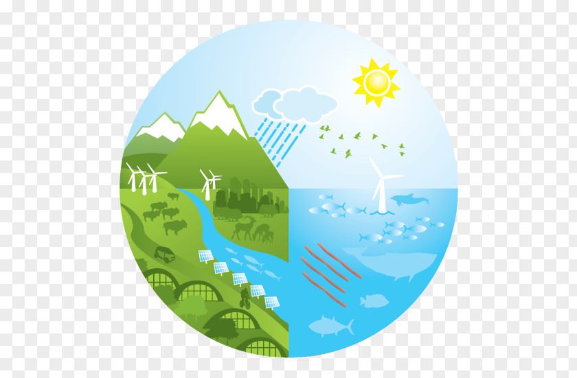 Copywriting Ecosystem Architecture Logo PNG