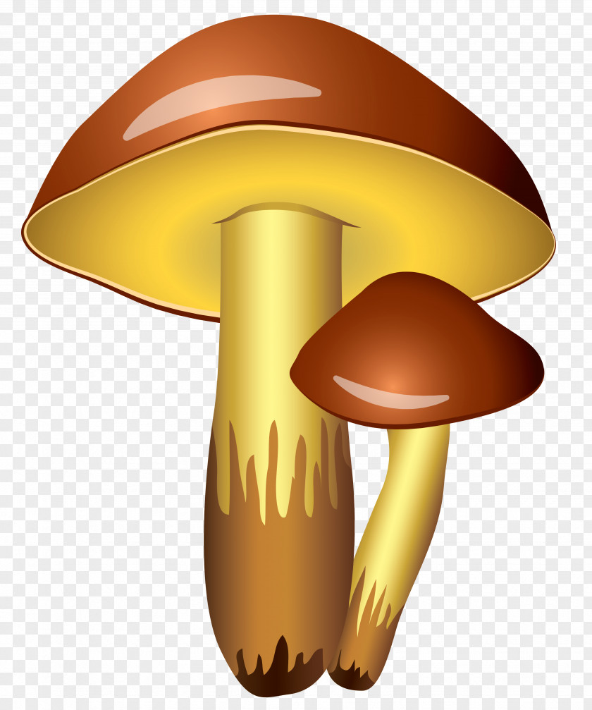 Mushrooms Transparent Clipart Picture Mushroom Icon Clip Art PNG