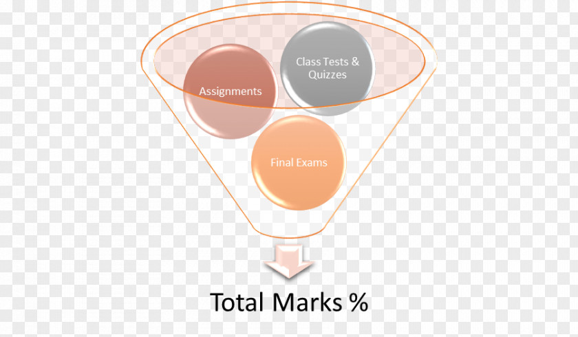 My Final Exam Database Marketing Brand Product Design PNG