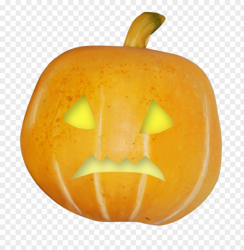 Pumpkin Jack-o-lantern Calabaza Gourd PNG