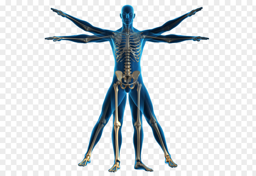 Body Physical Therapy Health Care Patient PNG
