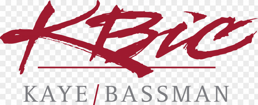 Business Logo Kaye/Bassman International, Corp. Chief Executive Company PNG