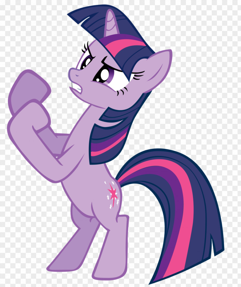 Cat Twilight Sparkle Pony Winged Unicorn PNG