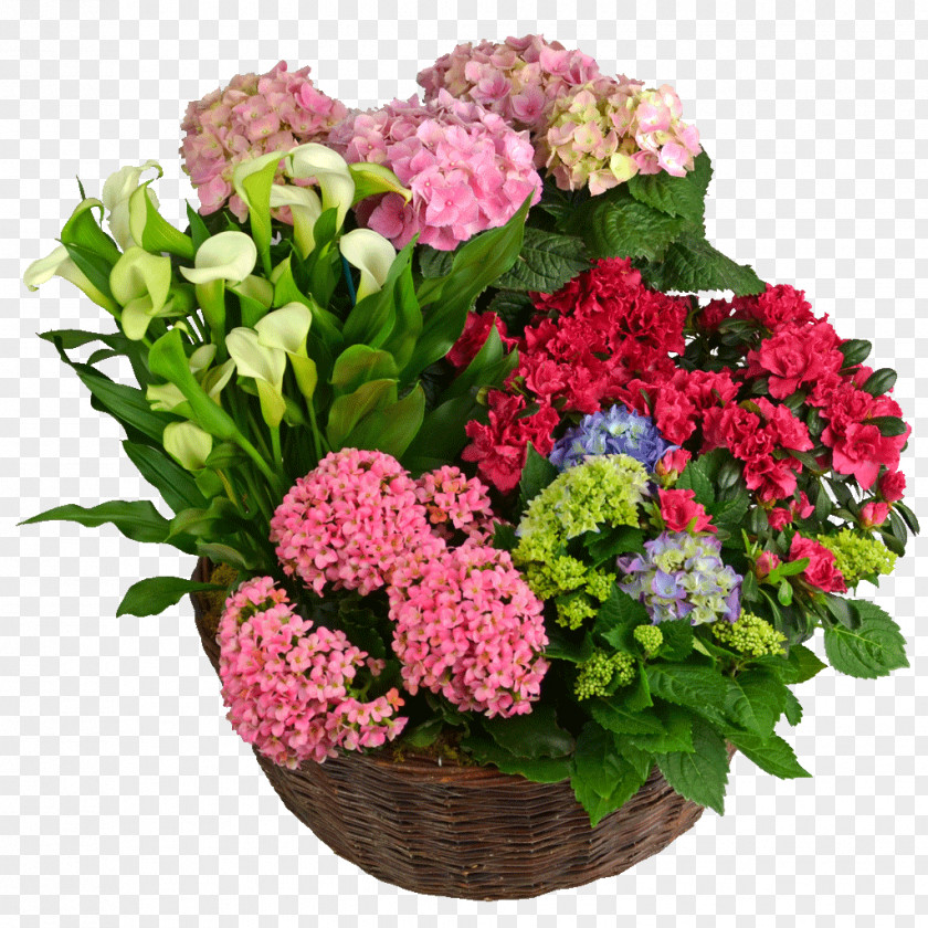 Flower Hydrangea Floral Design Cut Flowers Floristry PNG