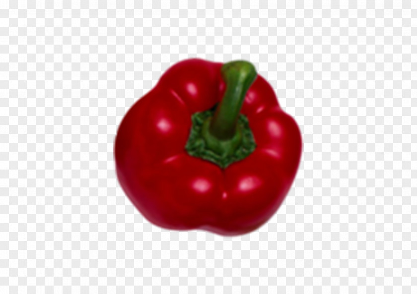 Hand-painted Pepper Habanero Bell Chili Paprika Malagueta PNG