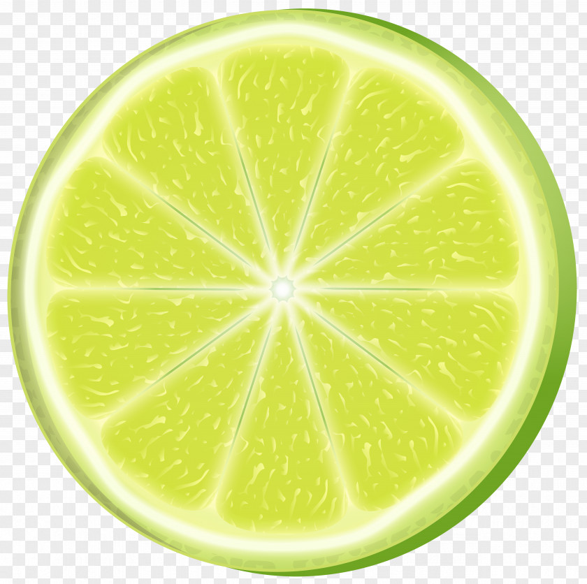 Lemon Slices Clip Art Image IPhone 6 Persian Lime Sweet PNG