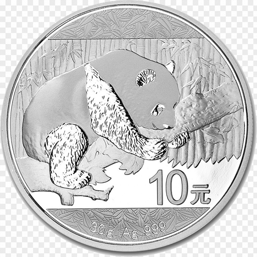 Silver Coin Giant Panda Chinese Bullion PNG