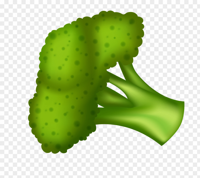 Vector Cauliflower Leaves Broccoli Fried Rice Vegetable PNG