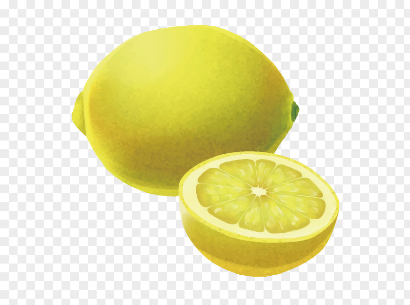 3d Cartoon Picture Material Food Photos Lemon Lime 3D Computer Graphics PNG