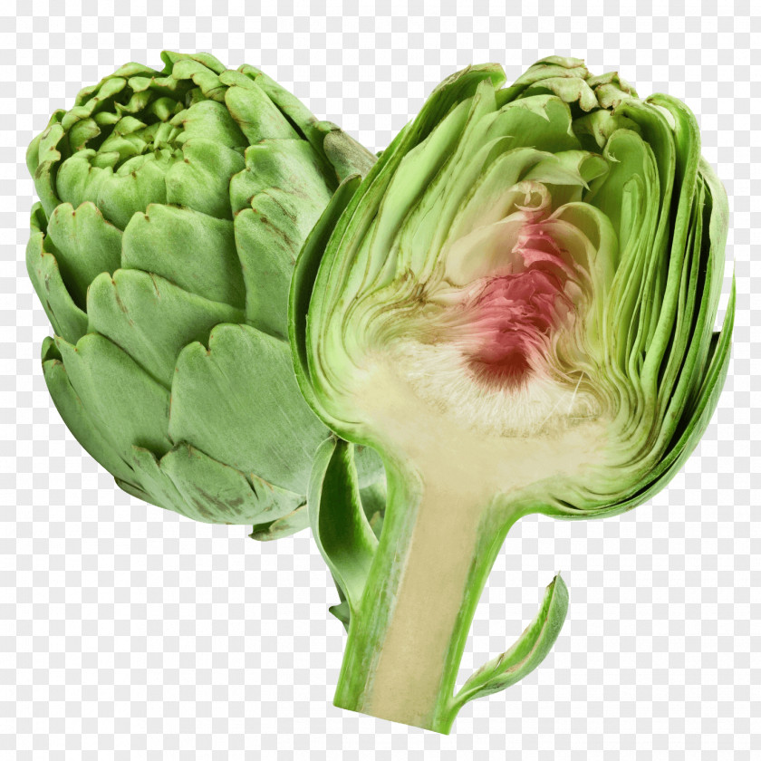 Brussels Sprout Lettuce Frozen Food Cartoon PNG