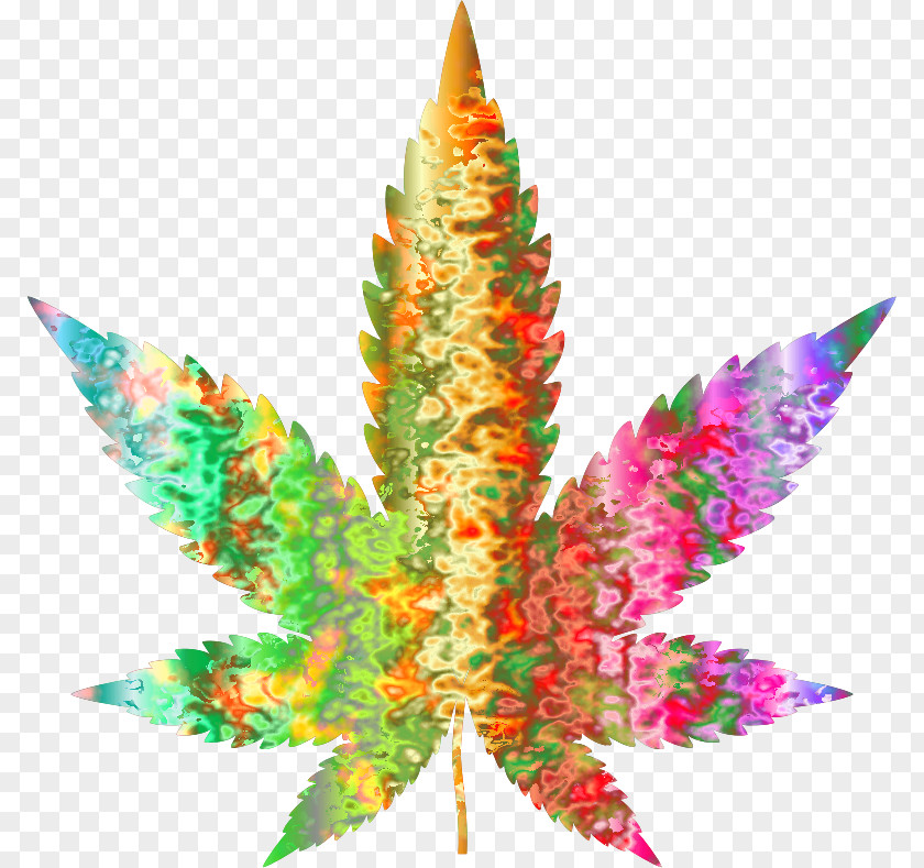 Cannabis Medical Hemp Clip Art PNG