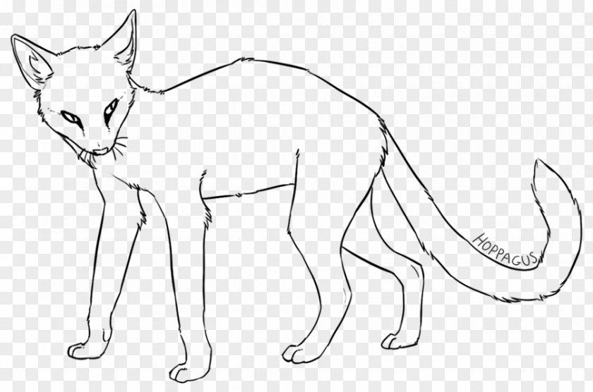 Cat Whiskers Line Art Tail Red Fox PNG