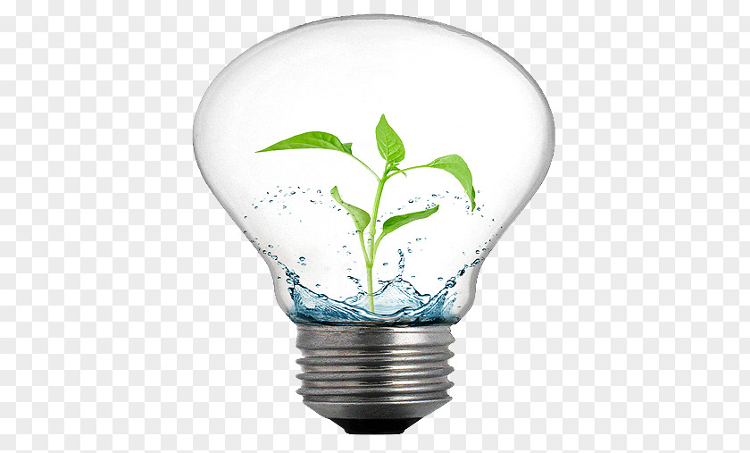 Energy Efficient Use Incandescent Light Bulb Efficiency Idea PNG