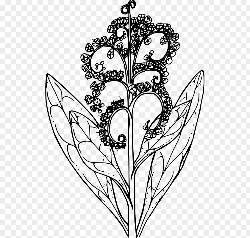 Flower Floral Design Line Art Drawing Clip PNG