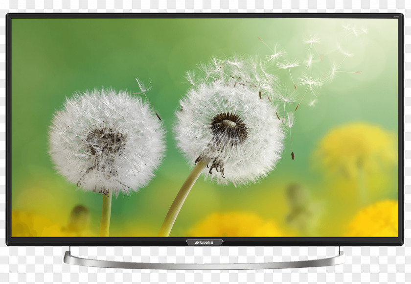 Flower High-definition Television Inch PNG