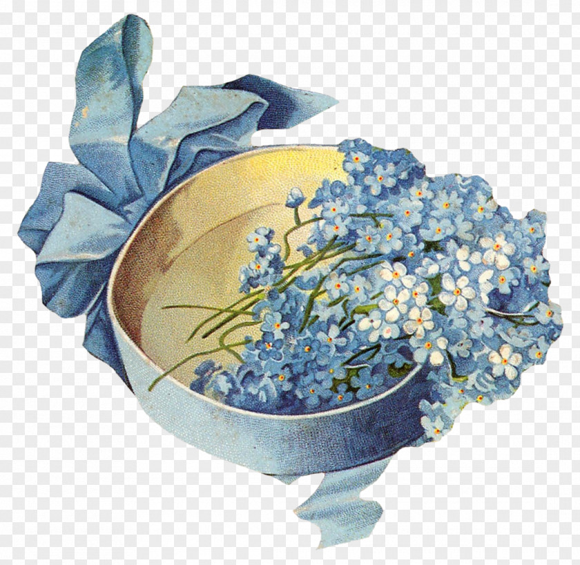 Forget Me Not Hydrangea Flower Blue Art Floral Design PNG