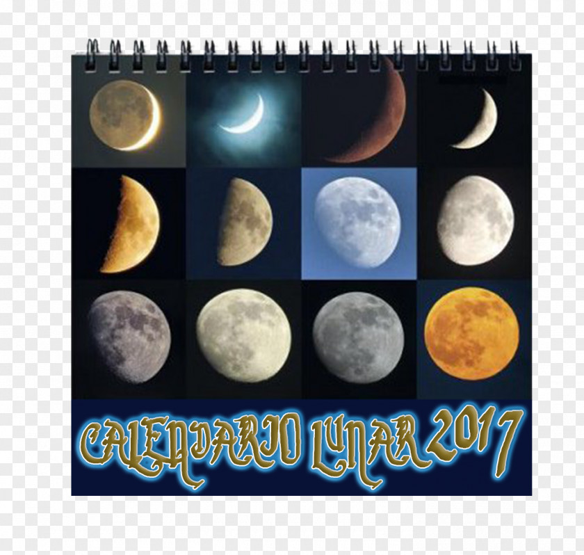 Moon Lunar Calendar New Phase PNG