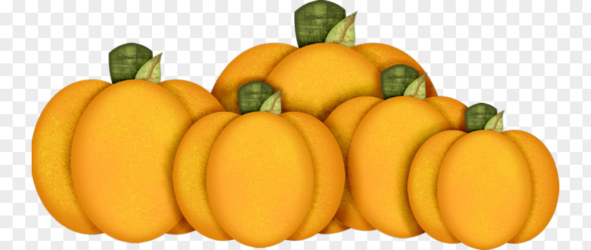 Pumpkin Halloween Jack-o-lantern Fruit PNG