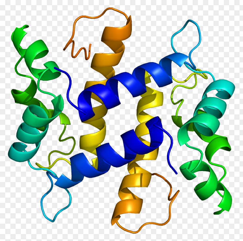 S100A7 Antimicrobial Peptides Protein PNG