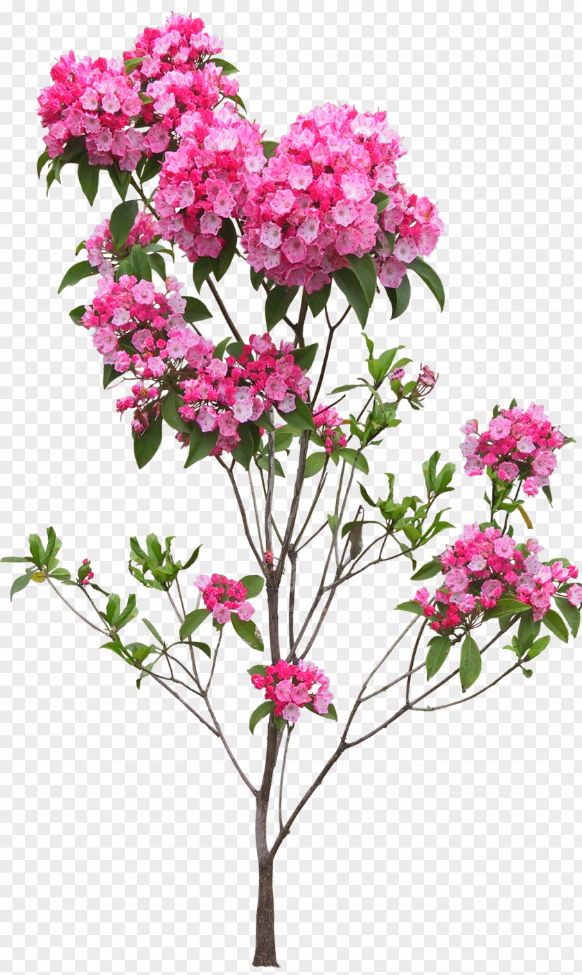 Bushes Flower Floral Design PNG