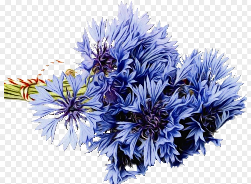 Flower Bouquet Floral Design Desktop Wallpaper Cornflower PNG