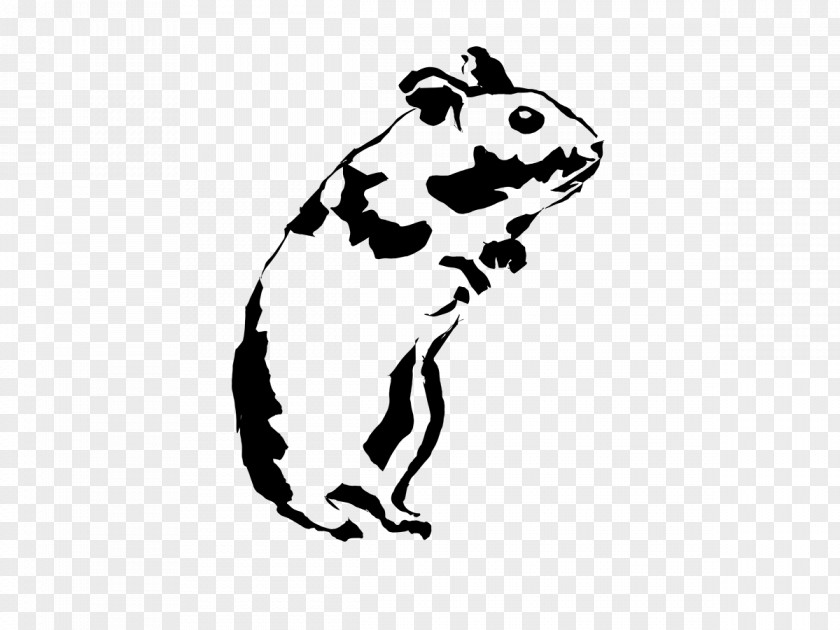 Muroidea Whiskers Hamster PNG