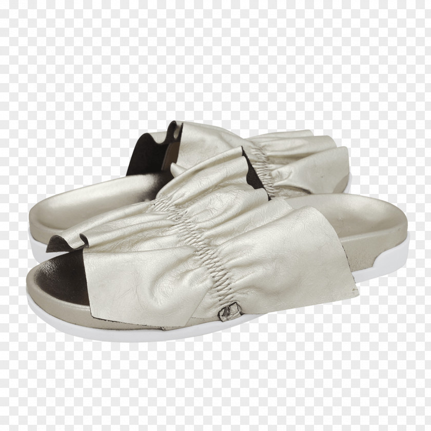 Sandal Shoe PNG