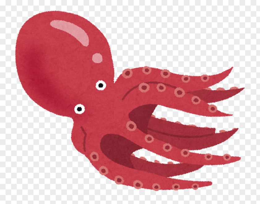 Tako Octopus Squid Ikizukuri エギング (株)ハウスウェーブ PNG