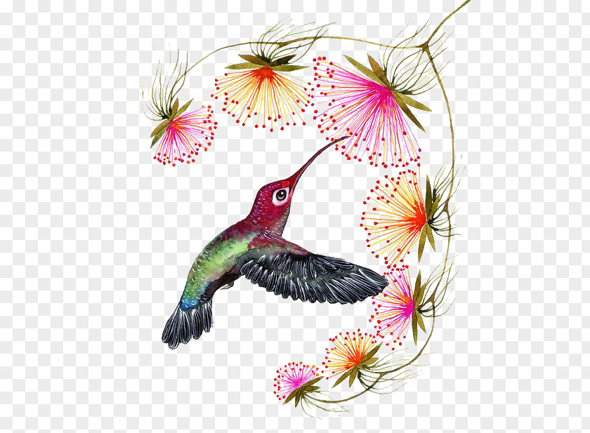 Cartoon Hummingbird PNG hummingbird clipart PNG