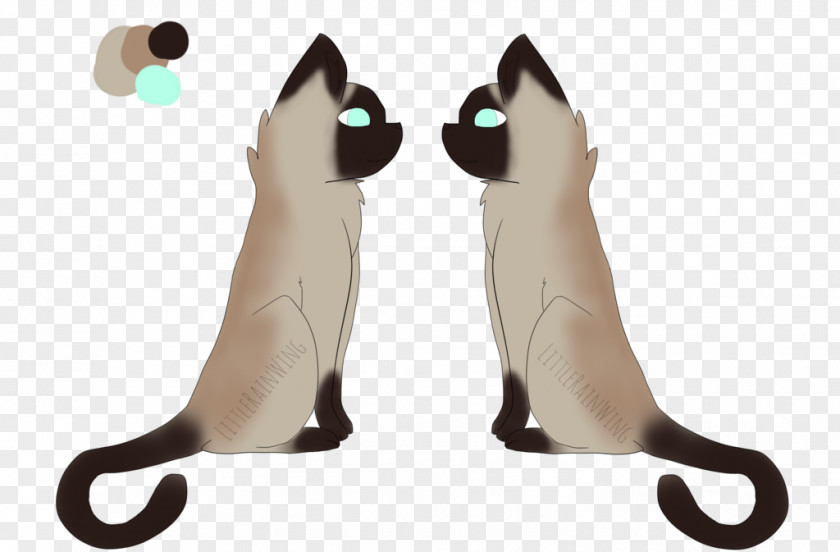 Cat Paw Tail PNG