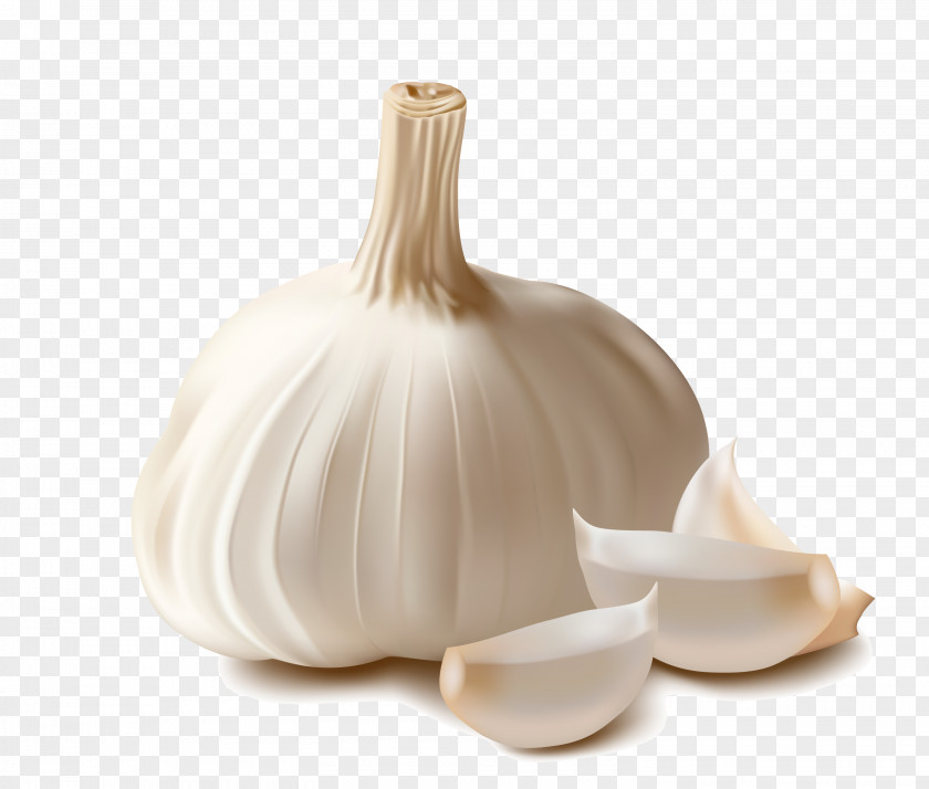Garlic Spice Food Condiment Vegetable PNG