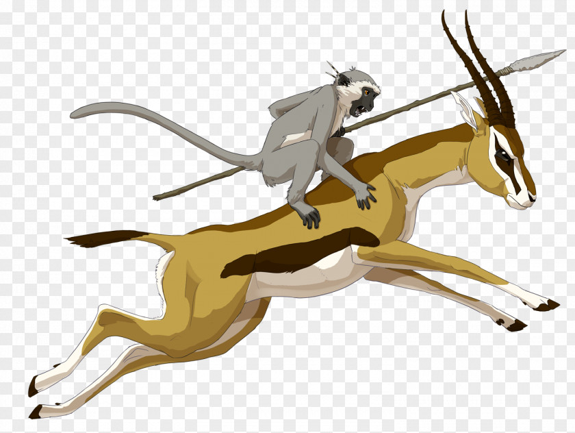 Gazelle Thomson's Impala Antelope Drawing PNG