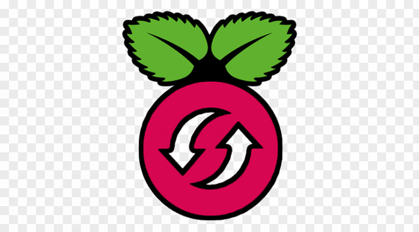 Raspberry Logo Virtual Network Computing Pi TightVNC Computer Servers Secure Shell PNG