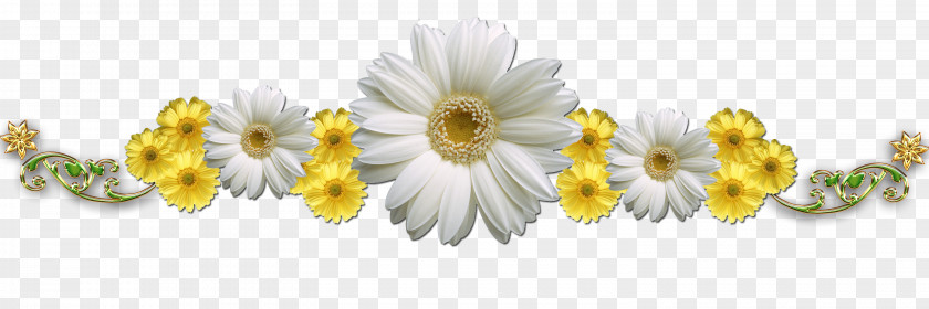 Camomile Flower Text Clip Art PNG