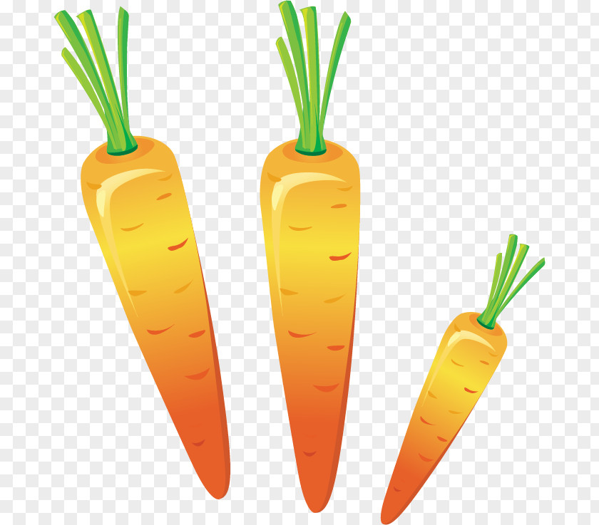 Carrot Creative Clip Art PNG