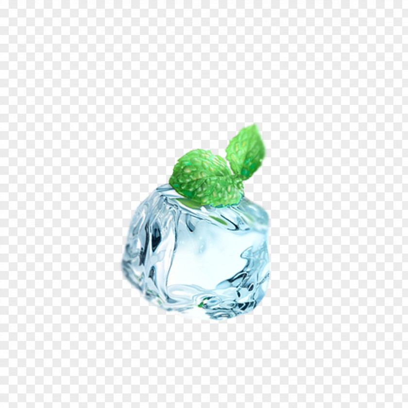 Ice Cubes And Mint Leaves Water Mentha Canadensis Cube PNG